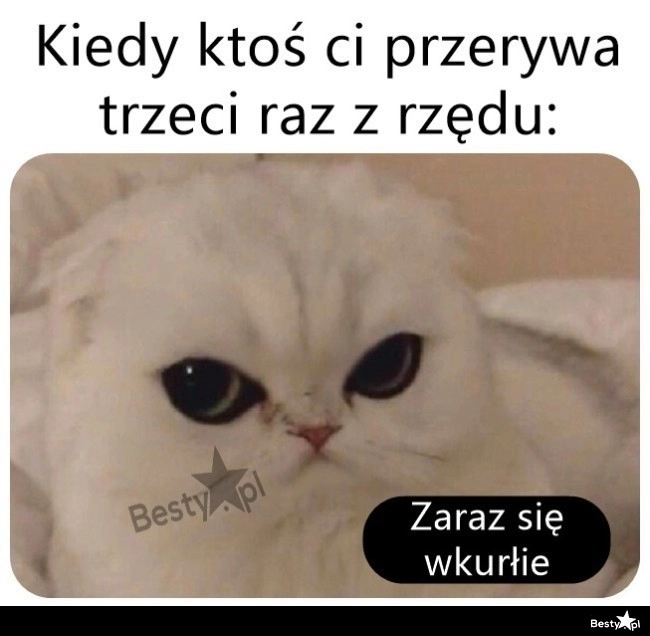 
    Cierpliwość się kończy 