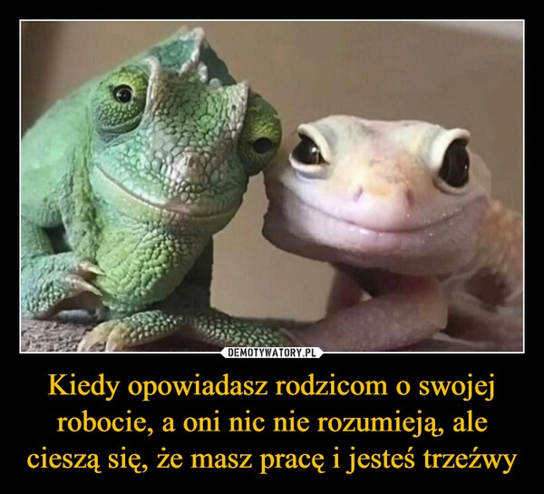
    Kiedy opowiadasz rodzicom o swojej robocie, a oni nic nie rozumieją, ale cieszą się, że masz pracę i jesteś trzeźwy