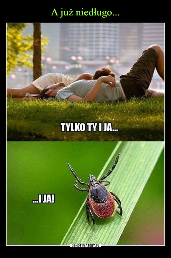 
    A już niedługo...