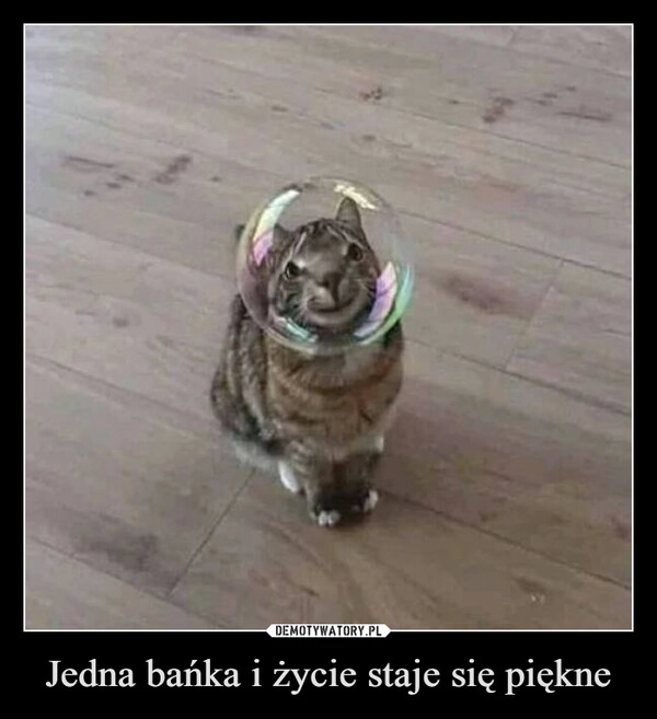 
    Jedna bańka i życie staje się piękne