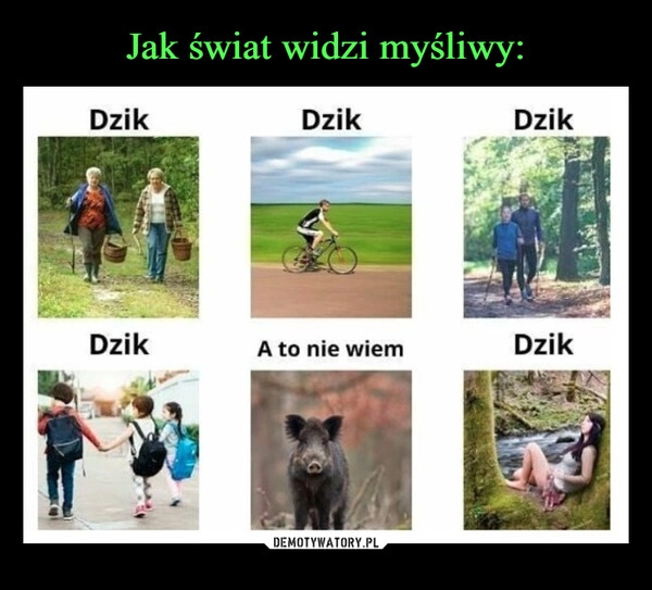 
    Jak świat widzi myśliwy: