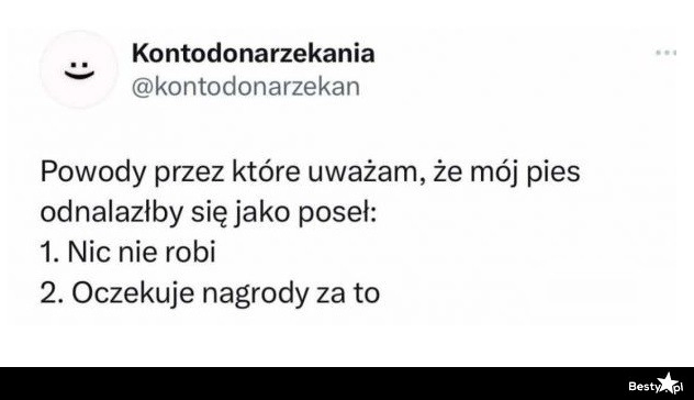 
    Pies poseł 