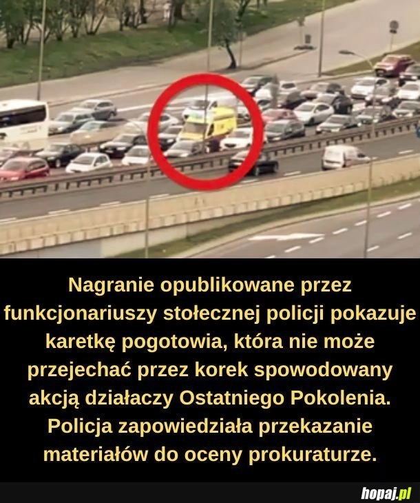 
    Najgłupsze pokolenie.