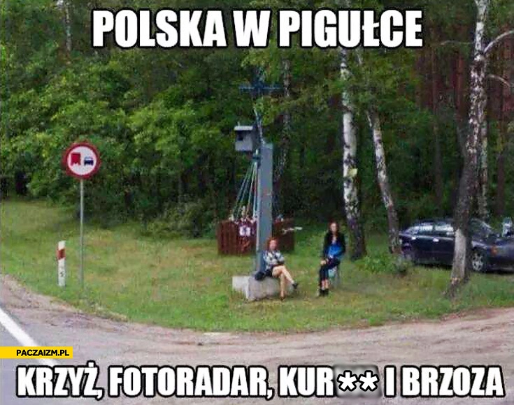 
    Polska w pigułce krzyż fotoradar kurwa i brzoza