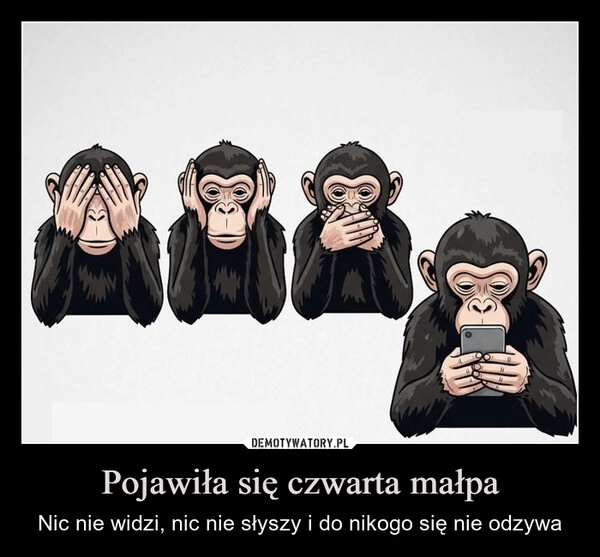 
    Pojawiła się czwarta małpa