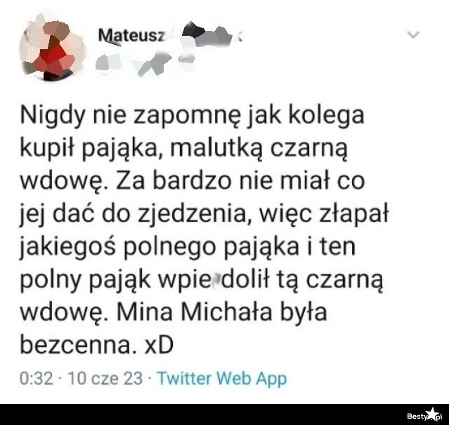 
    Jedzenie dla czarnej wdowy 