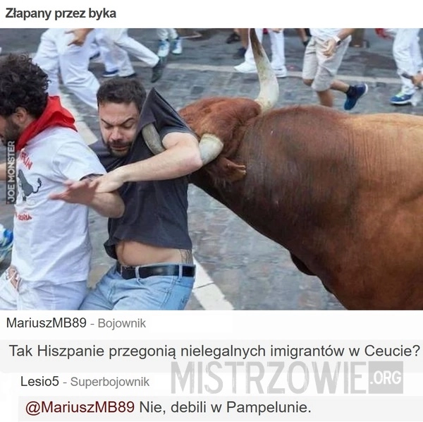 Złapany przez byka