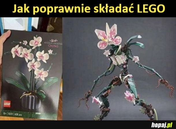 
     Składanie lego 