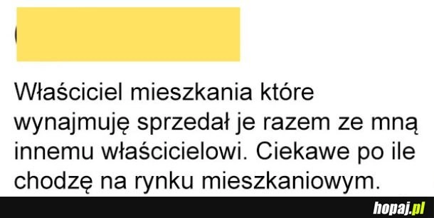 
    Sprzedany z mieszkaniem