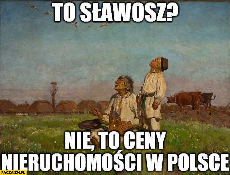 
    To Sławosz? Nie to ceny nieruchomości w Polsce obraz bociany