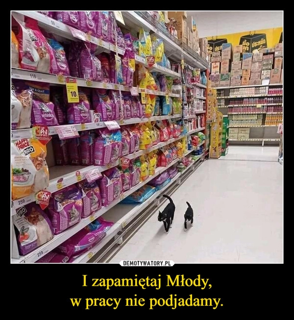 
    I zapamiętaj Młody,
w pracy nie podjadamy.