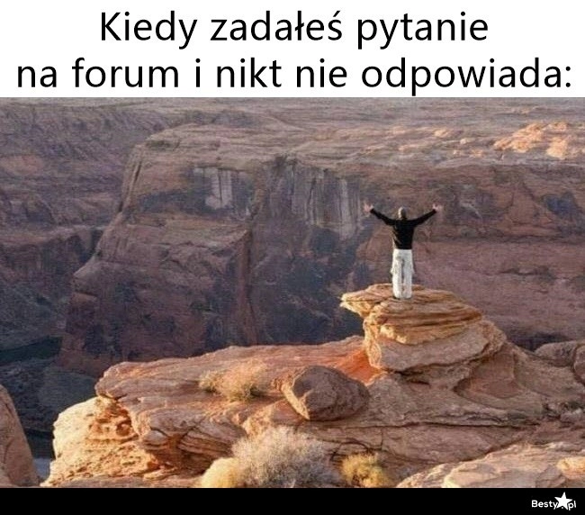 
    Bez odzewu 