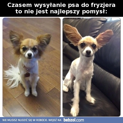 
    Nienajlepszy pomysł