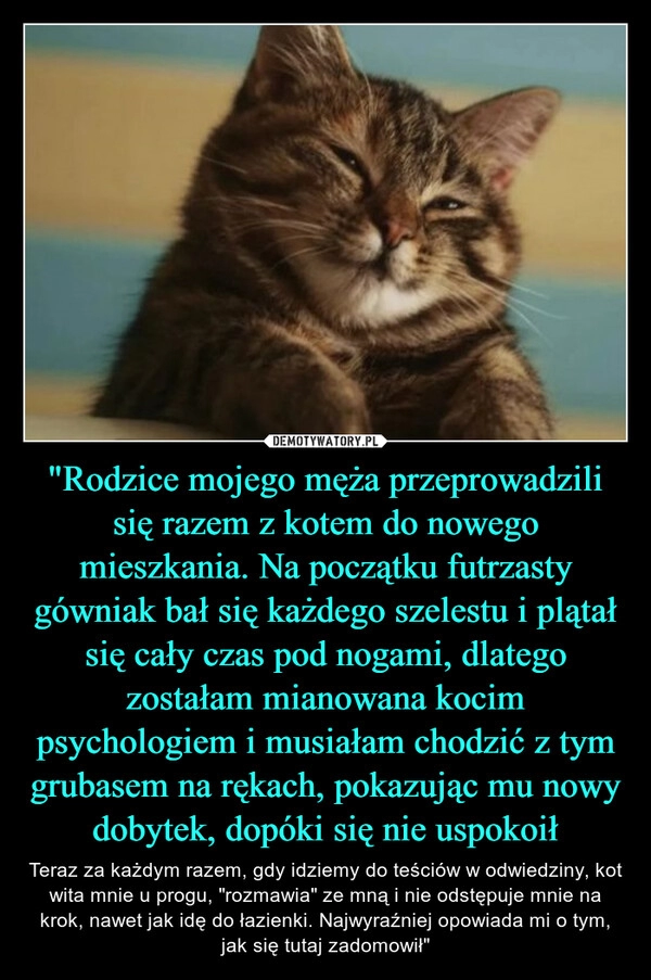 
    "Rodzice mojego męża przeprowadzili się razem z kotem do nowego mieszkania. Na początku futrzasty gówniak bał się każdego szelestu i plątał się cały czas pod nogami, dlatego zostałam mianowana kocim psychologiem i musiałam chodzić z tym grubasem na rękach, pokazując mu nowy dobytek, dopóki się nie uspokoił