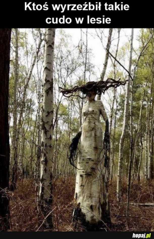 
    Piękne