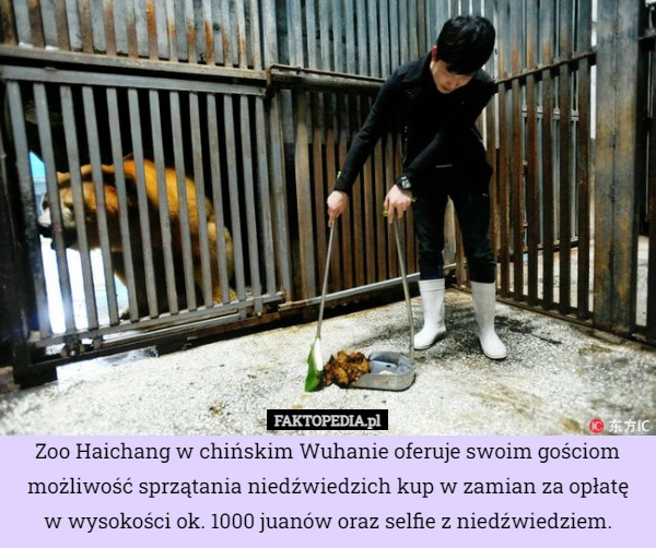 
    Zoo Haichang w chińskim Wuhanie oferuje swoim gościom możliwość sprzątania