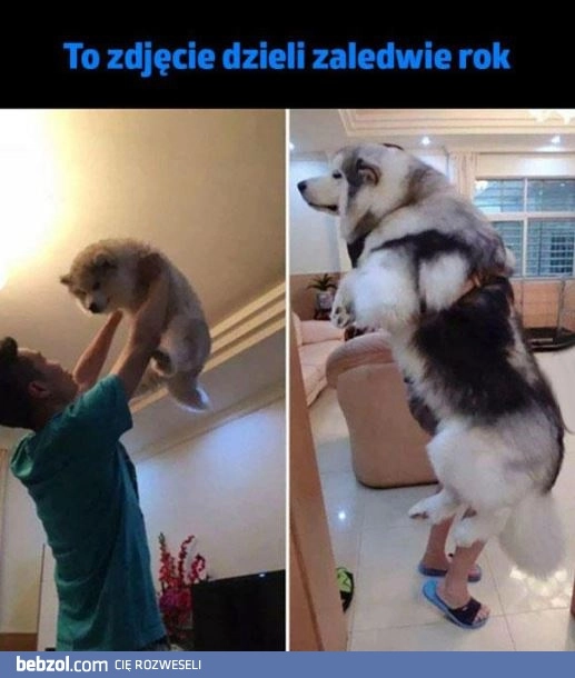 
    Jeden rok a taka różnica