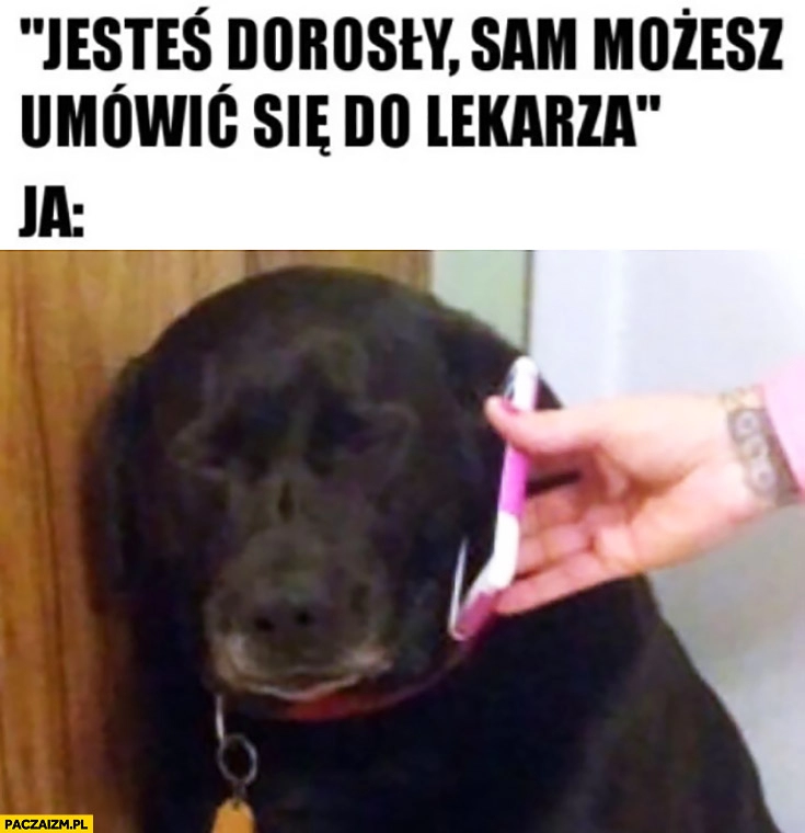 
    Jesteś dorosły, sam możesz umówić się do lekarza. Ja: smutny pies rozmawia przez telefon