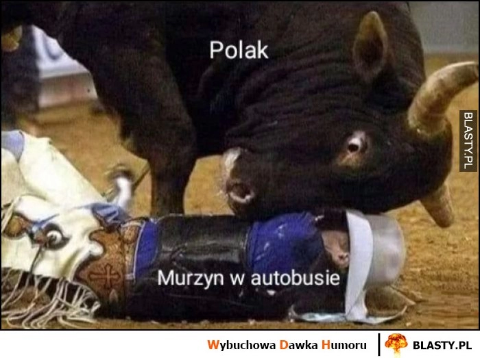 
    Polak vs murzyn w autobusie przygląda mu się z bliska byk toreador