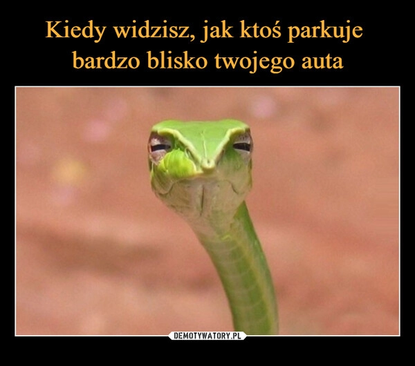 
    Kiedy widzisz, jak ktoś parkuje 
bardzo blisko twojego auta