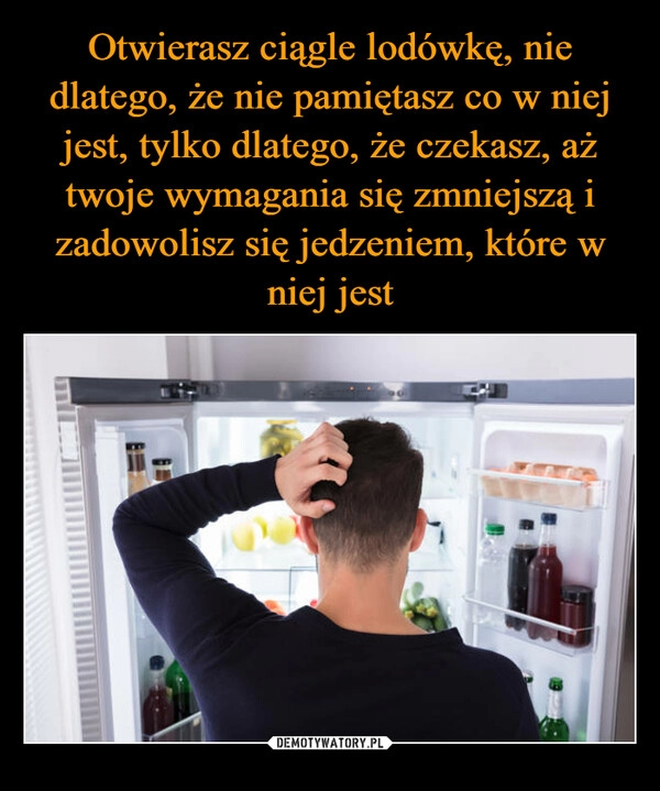 
    Otwierasz ciągle lodówkę, nie dlatego, że nie pamiętasz co w niej jest, tylko dlatego, że czekasz, aż twoje wymagania się zmniejszą i zadowolisz się jedzeniem, które w niej jest