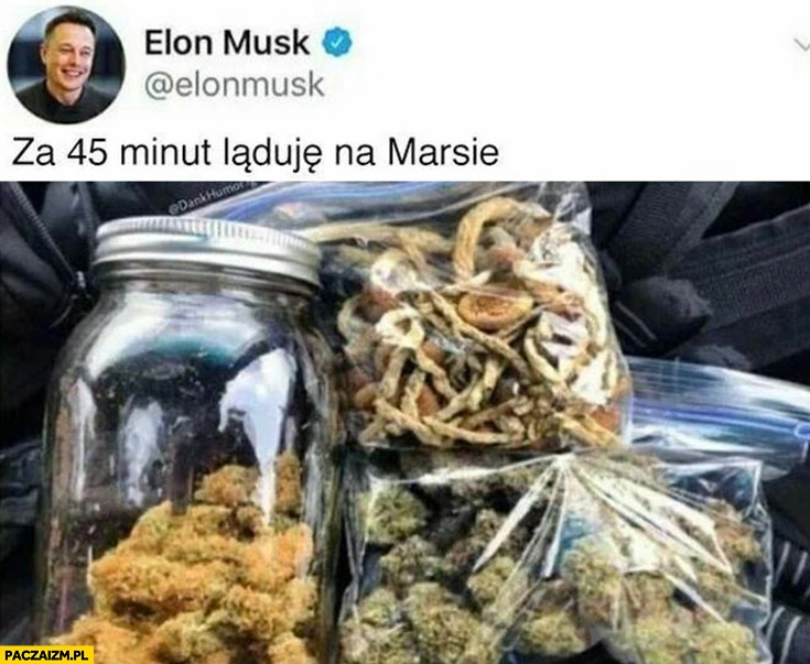 
    Elon Musk za 45 minut ląduję na Marsie narkotyki