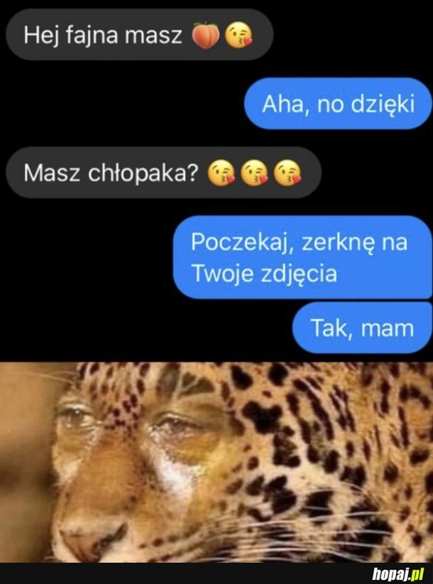 
    Zabolało