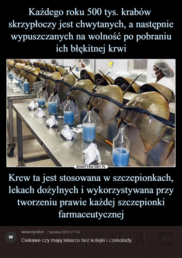 
    
			Skrzypłocze					