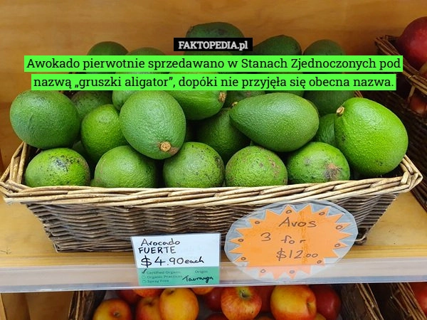 
    Awokado pierwotnie sprzedawano w Stanach Zjednoczonych pod nazwą „gruszki