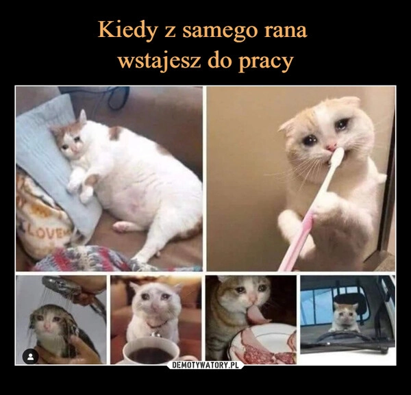 
    Kiedy z samego rana 
wstajesz do pracy