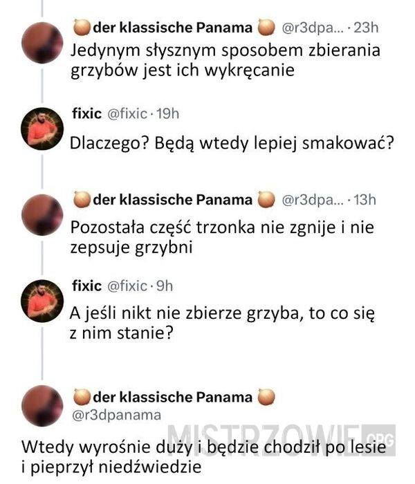 
    Grzybiarska rada