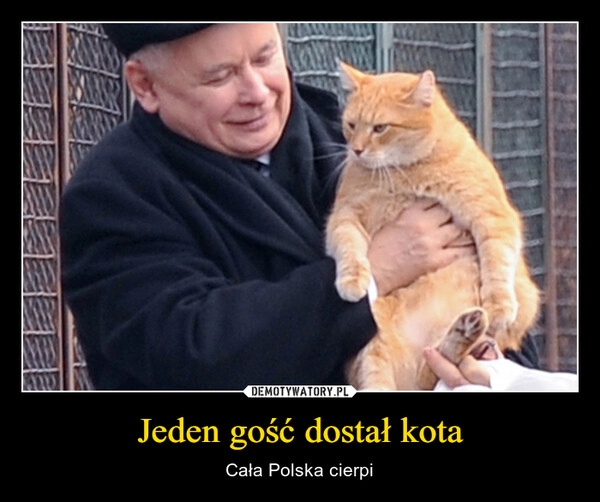 
    Jeden gość dostał kota