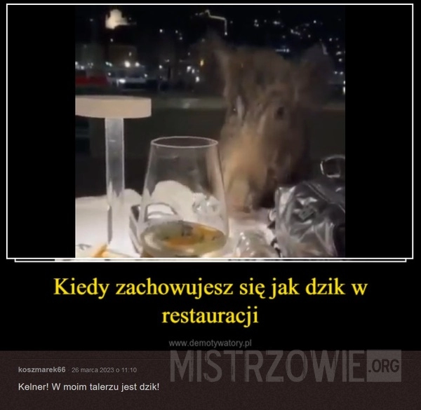 
    Dziki napad na restaurację