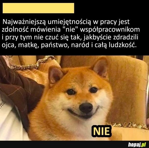 
    Umiejętność mówienia 'nie'