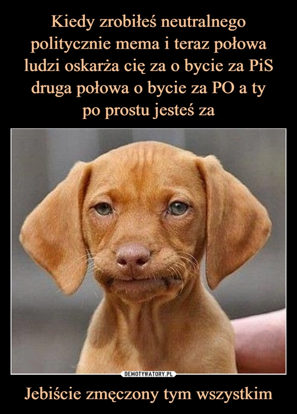 
    Kiedy zrobiłeś neutralnego politycznie mema i teraz połowa ludzi oskarża cię za o bycie za PiS druga połowa o bycie za PO a ty
po prostu jesteś za Jebiście zmęczony tym wszystkim