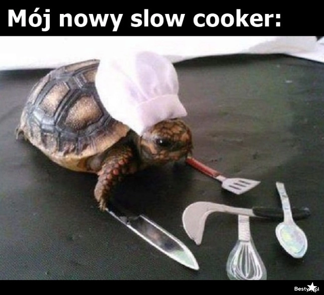 
    Slow cooker 