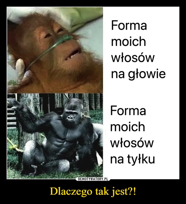 
    Dlaczego tak jest?!