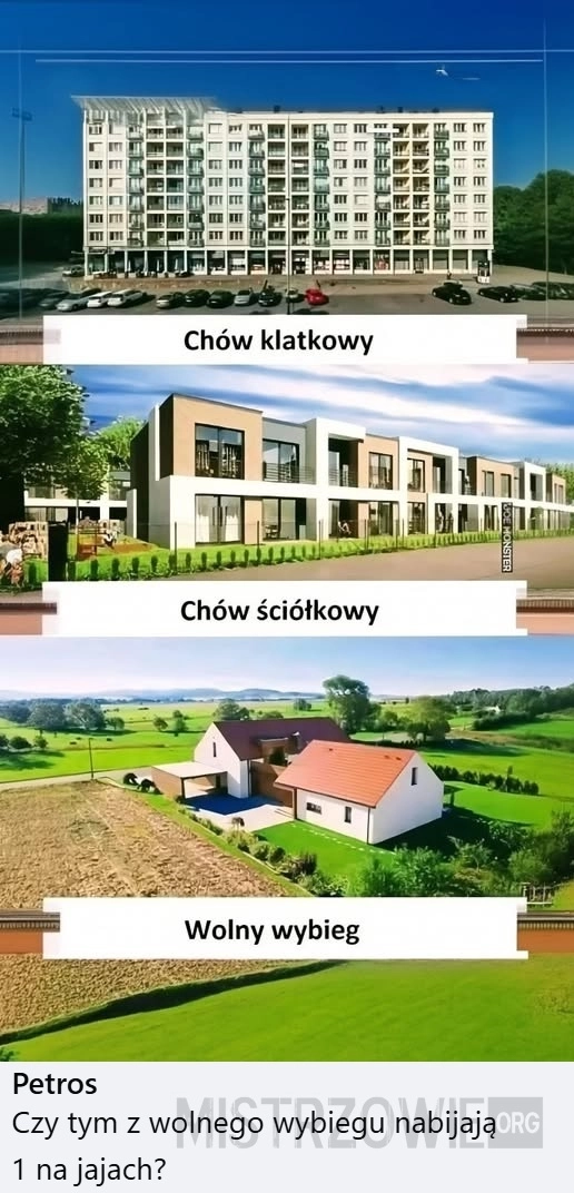 
    Chów
