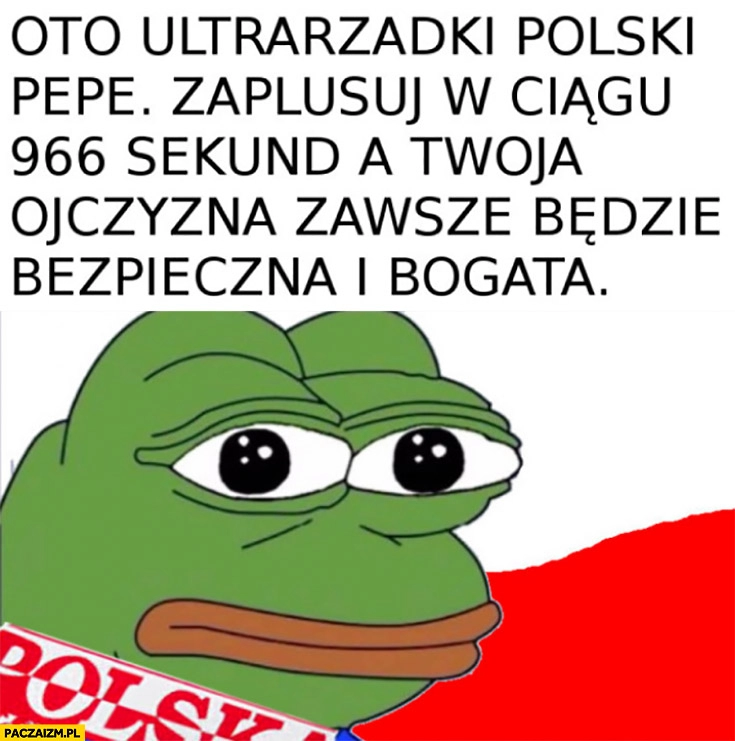 
    Oto ultrarzadki polski Pepe, zaplusuj w ciągu 966 sekund a Twoja ojczyzna zawsze będzie bezpieczna i bogata