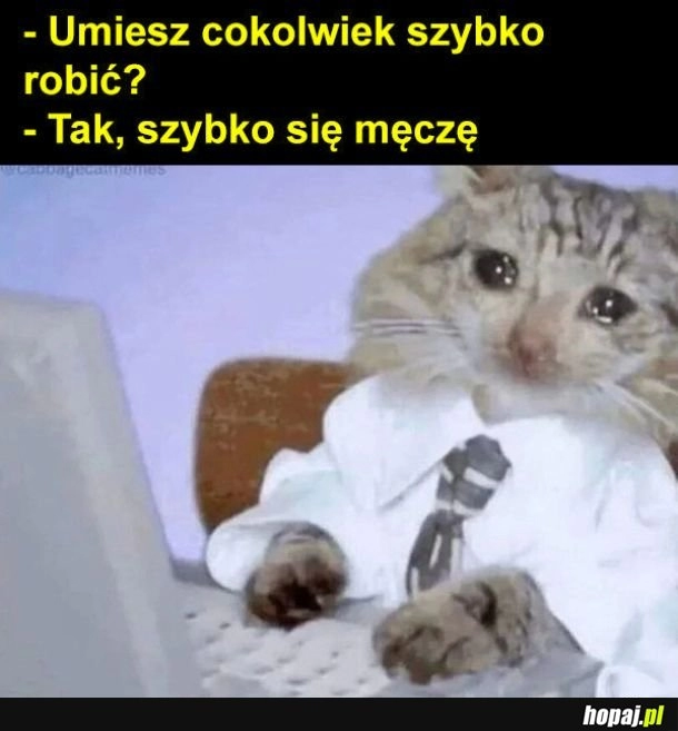 
    Umiem coś szybko