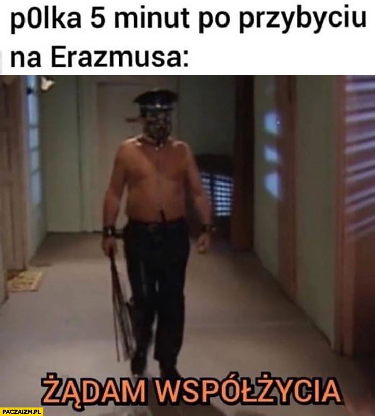 
    Polka 5 minut po przybyciu na Erazmusa żądam współżycia