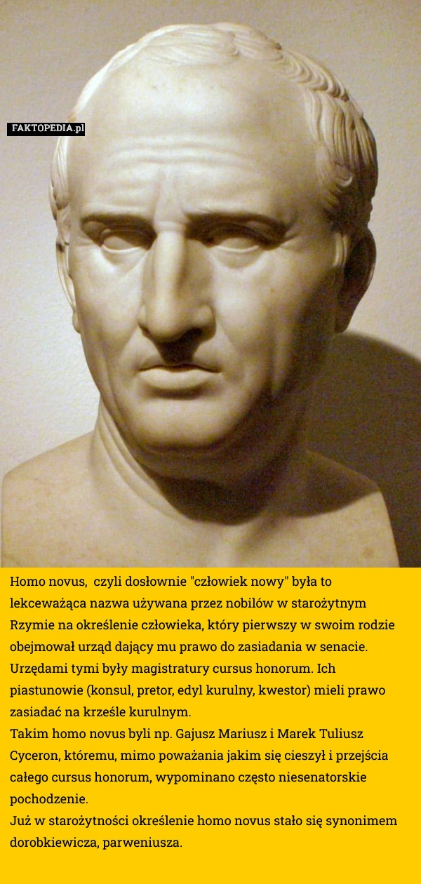 
    Homo novus,  czyli dosłownie "człowiek nowy"
