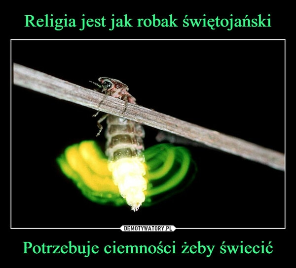 
    Religia jest jak robak świętojański Potrzebuje ciemności żeby świecić