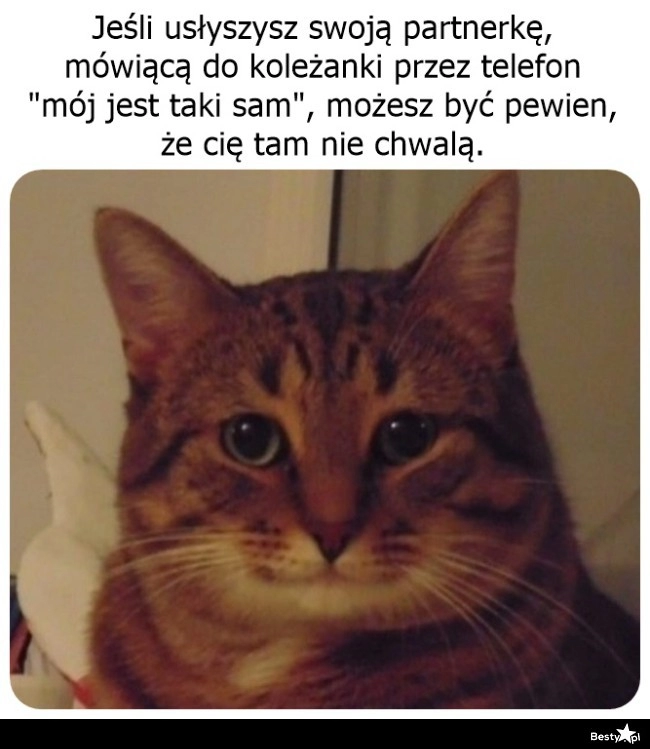 
    Z całą pewnością 