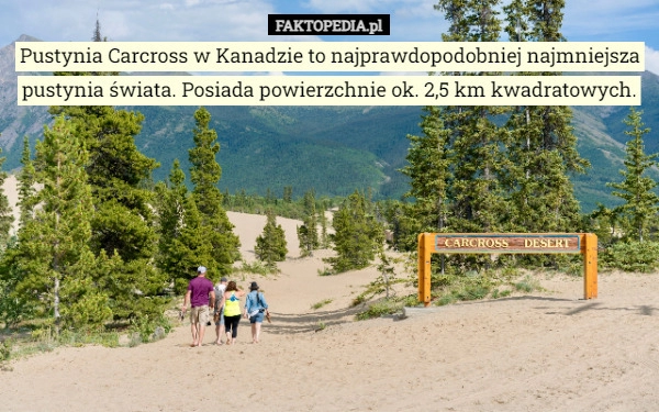 
    Pustynia Carcross w Kanadzie to najprawdopodobniej najmniejsza pustynia