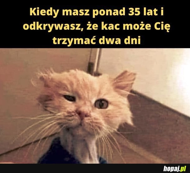 
    Oparte na własnym doświadczeniu 