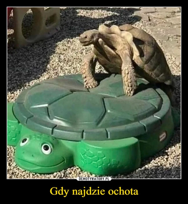 
    Gdy najdzie ochota