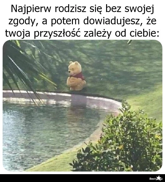 
    No i jak żyć? 