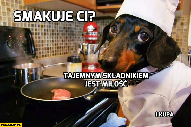 
    Smakuje Ci tajemnym składnikiem jest miłość i kupa. Pies kucharz