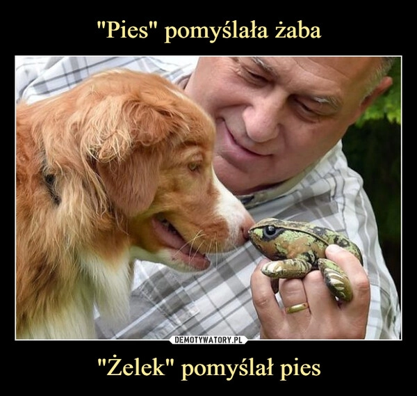 
    "Pies" pomyślała żaba "Żelek" pomyślał pies